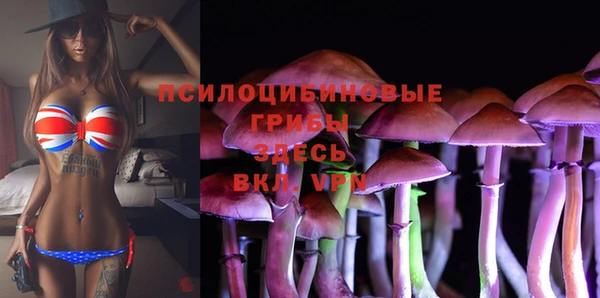 марки lsd Алексеевка