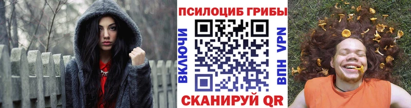 Псилоцибиновые грибы GOLDEN TEACHER  купить   Сим 